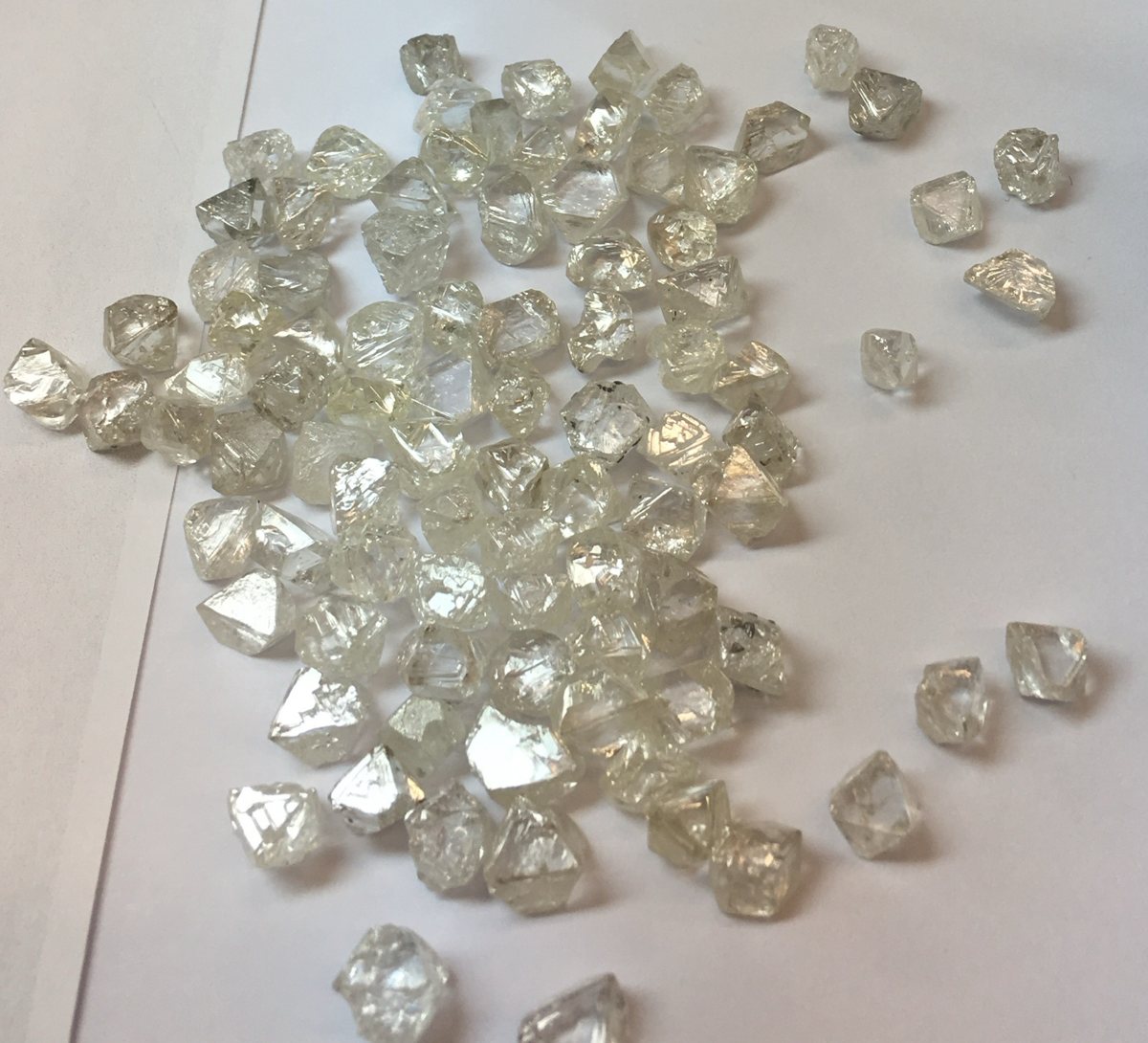 A parcel of white rough diamond crystals on a sorting sheet
